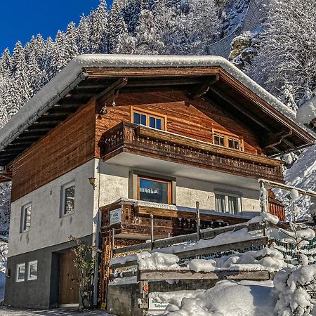 Apartment Leiter Bramberg am Wildkogel Kültér fotó